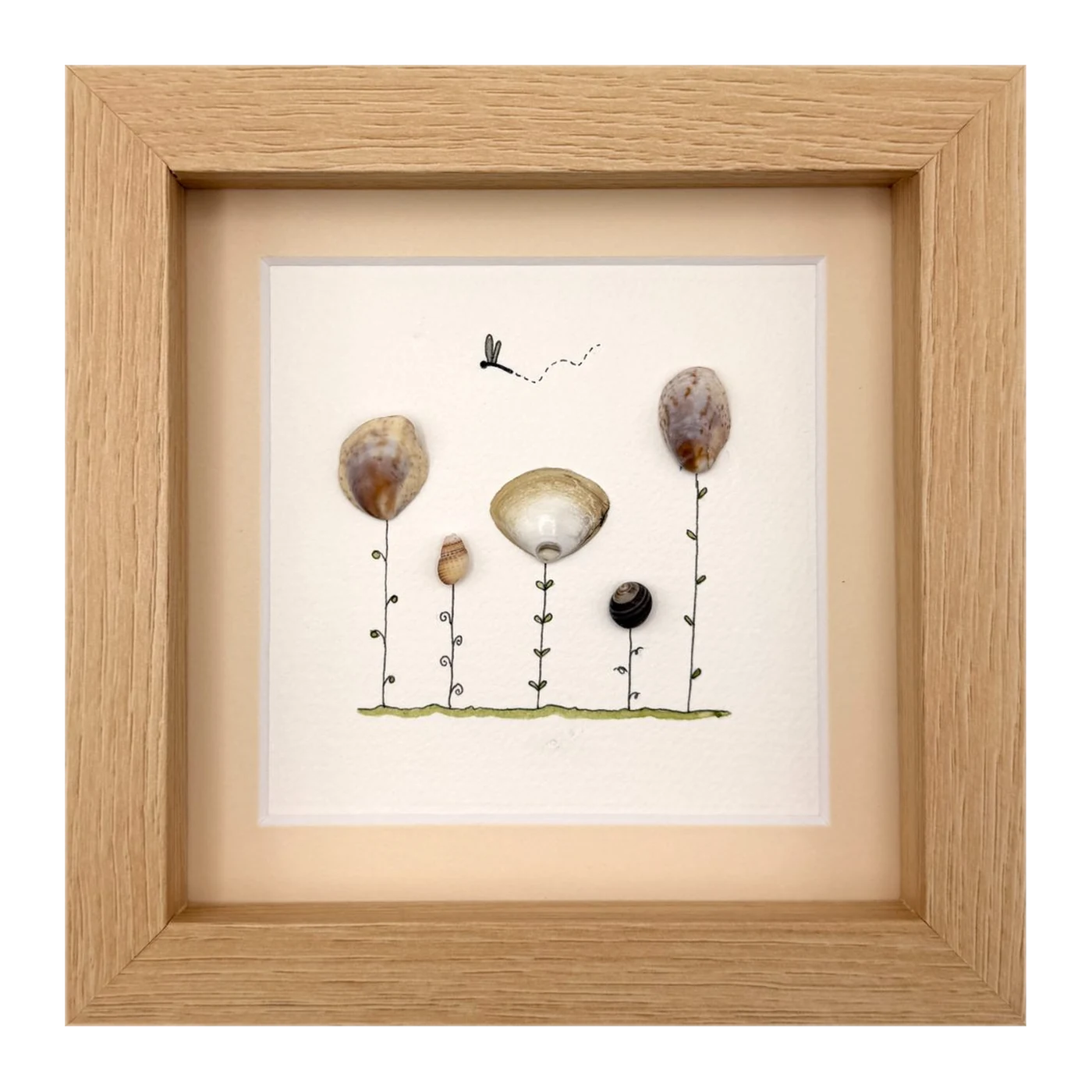 Shell flowers with a dragonfly