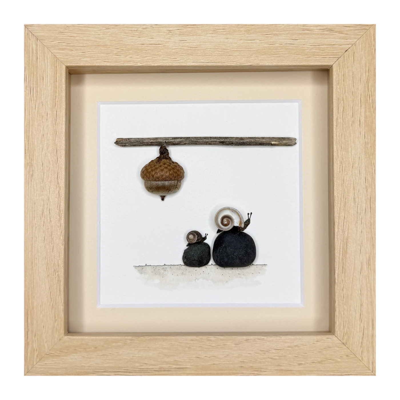 Two shell snails on black stones, under an acorn hanging from a twig